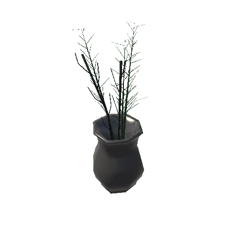 Plant 2